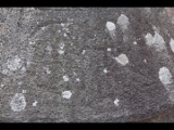 03369 ostia - regio i - insula iii - caseggiato dei molini (i,iii,1) - raum 18 - muehlstein - catillus - inschrift - chr.jpg